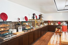 DoubleTree by Hilton Hotel Dallas - Market Center