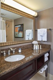 DoubleTree by Hilton Hotel Dallas - Market Center