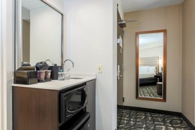 Embassy Suites by Hilton Dallas Love Field