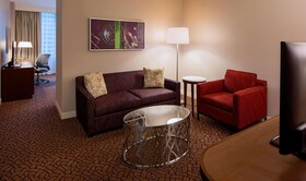 Hilton Garden Inn Downtown Dallas
