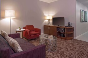 Hilton Garden Inn Downtown Dallas