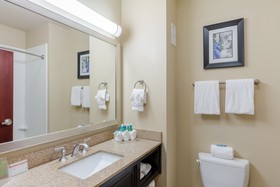 Holiday Inn Express Hotel & Suites Dallas West