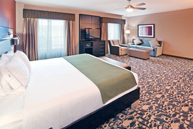 Holiday Inn Express Hotel & Suites North Dallas At Preston