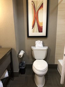 Holiday Inn Express Hotel & Suites North Dallas At Preston