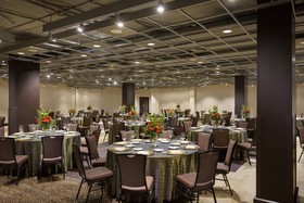 Hyatt Regency DFW International Airport