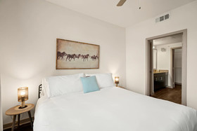 Kasa Dallas Medical District Apartments
