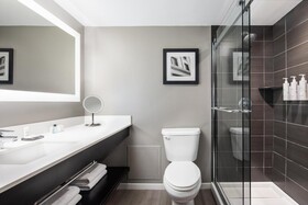 Marriott Dallas Addison Quorum Galleria