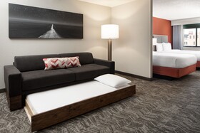 SpringHill Suites Dallas Downtown/West End