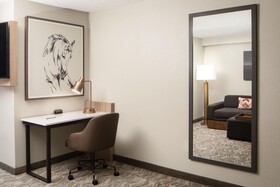 SpringHill Suites Dallas Downtown/West End