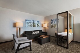 SpringHill Suites Dallas Richardson/University Area
