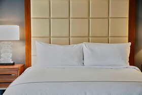 The Adolphus Hotel