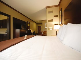 Best Western Plus Texoma Hotel & Suites