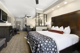 Best Western Premier Crown Chase Inn & Suites