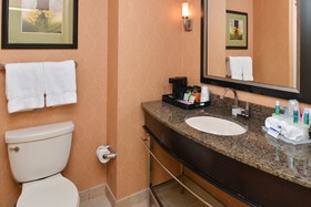 Holiday Inn Express Hotel & Suites Dallas South - Desoto