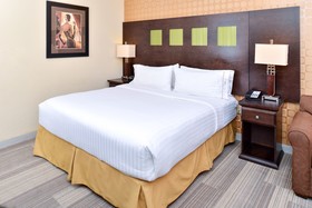 Holiday Inn Express Hotel & Suites Dallas South - Desoto