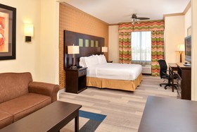 Holiday Inn Express Hotel & Suites Dallas South - Desoto