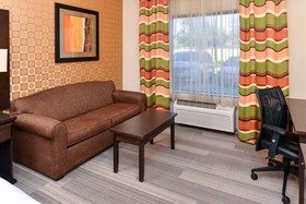 Holiday Inn Express Hotel & Suites Dallas South - Desoto