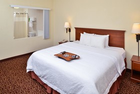 Hampton Inn Eagle Pass