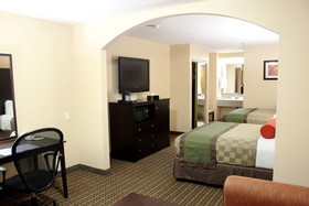 Best Western Plus Edinburg Inn & Suites