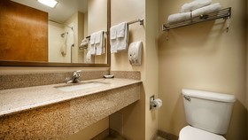 Best Western Plus Edinburg Inn & Suites