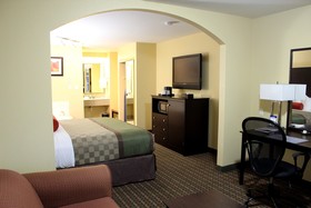 Best Western Plus Edinburg Inn & Suites