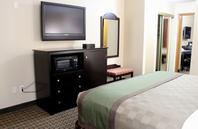 Best Western Plus Edinburg Inn & Suites