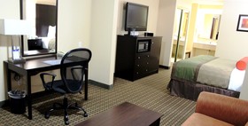 Best Western Plus Edinburg Inn & Suites