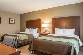 Comfort Inn Edinburg