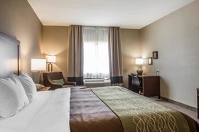 Comfort Inn Edinburg