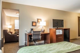 Comfort Inn Edinburg