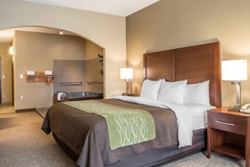 Comfort Inn Edinburg
