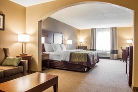 Comfort Inn Edinburg