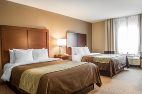Comfort Inn Edinburg