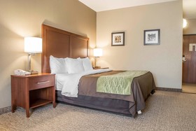 Comfort Inn Edinburg