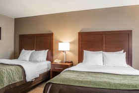 Comfort Inn Edinburg