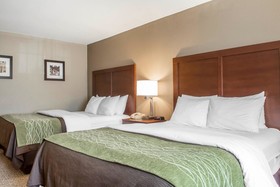 Comfort Inn Edinburg