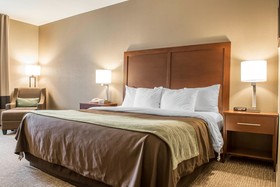 Comfort Inn Edinburg