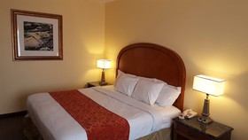 Americas Best Value Inn - Medical Center / Airport
