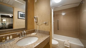 Best Western Plus El Paso Airport Hotel & Conference Center