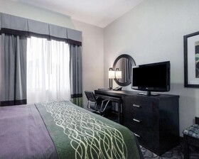 Comfort Inn & Suites I-10 Airport