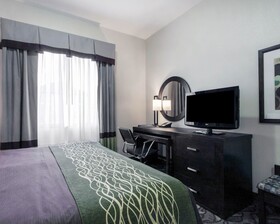 Comfort Inn & Suites I-10 Airport