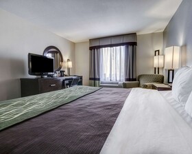 Comfort Inn & Suites I-10 Airport