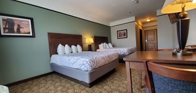 Best Western Plus Emory at Lake Fork Inn & Suites