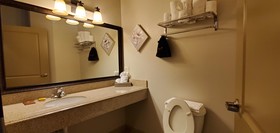 Best Western Plus Emory at Lake Fork Inn & Suites