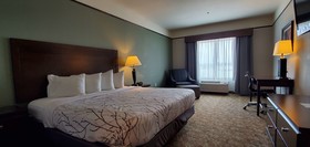 Best Western Plus Emory at Lake Fork Inn & Suites