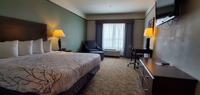 Best Western Plus Emory at Lake Fork Inn & Suites