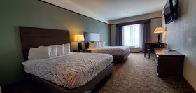 Best Western Plus Emory at Lake Fork Inn & Suites
