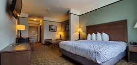 Best Western Plus Emory at Lake Fork Inn & Suites