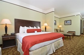 Best Western Plus Emory at Lake Fork Inn & Suites