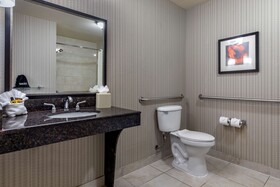 Best Western Plus DFW Airport West Euless